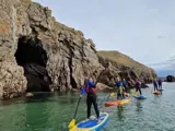 Paddleboard in Pembrokeshire