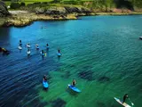Paddle Boarding Courses In Pembrokeshire